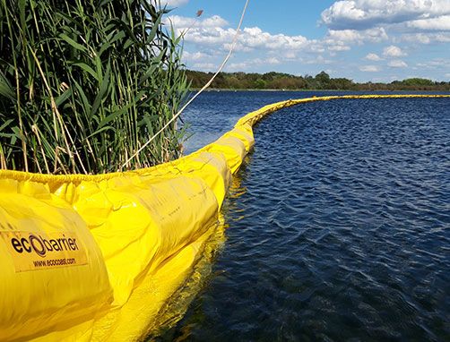 Oil containment boom to counteract blue-green algae