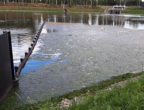 Floating debris boom against water weed